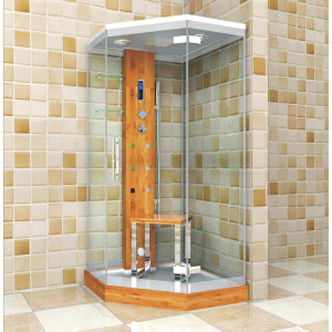 s005-steam shower