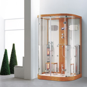Steam showers with infrared Models K005